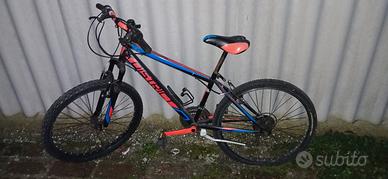 bicicletta
