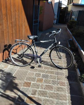 bicicletta