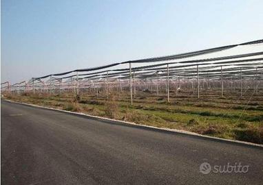 RGE 273/2017 Tribunale Verona Lotti 1) e 2)