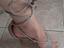 Immagine 1