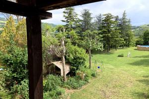 Relax in mezzo al verde con piscina