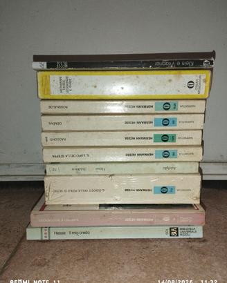 Lotto 10 libri Hermann Hesse - Edizioni Vintage