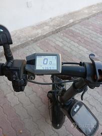 Bicicletta elettrica