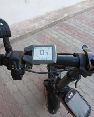 Bicicletta elettrica