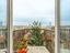 Immagine 23
