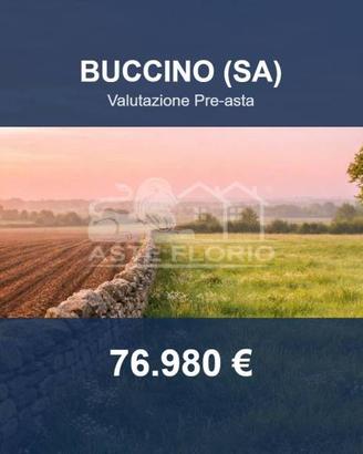 Immobile in asta di 19959 m² a Buccino