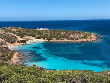 Studente Universitario Disponibile per Lavoro