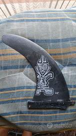 PINNA SUP STARBOARD