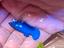 Immagine 1