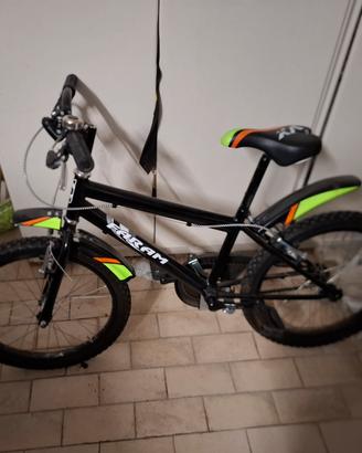 bicicletta