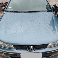 Accessori Peugeot 406 Sedan  