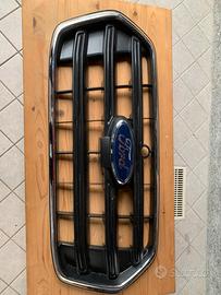 Mascherina ford transit