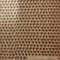 Libro di testo anni 20 "Primavera d'Italia"