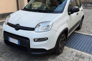 Panda 20121