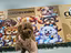 Immagine 1