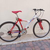 Bicicletta Freestyle modello Kappa 2600