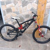 bicicletta da dhownill 