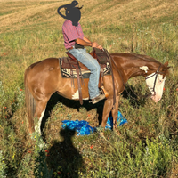 Paint femmina gunner