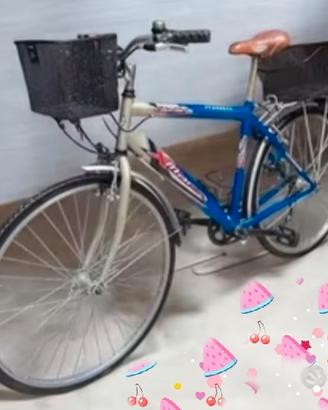 Bicicletta 