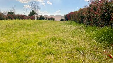 Terreno recintato 1200 mq su strada provinciale