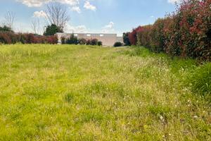 Terreno recintato 1200 mq su strada provinciale