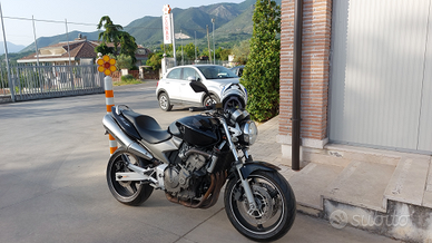 Honda hornet 600