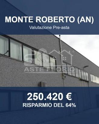 Immobile in asta di 1572 m² a Monte Roberto