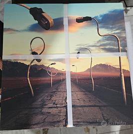pink floyd the later years limited edition 