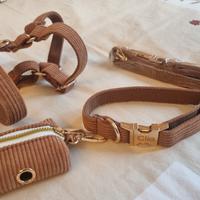 Pettorina guinzaglio collare cane stiloso velluto