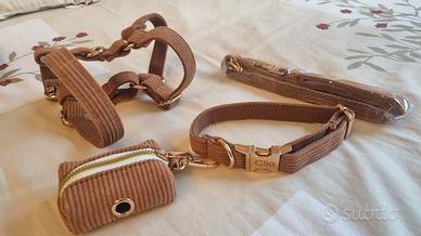 Pettorina guinzaglio collare cane stiloso velluto