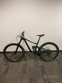 Giant reign biammortizzata