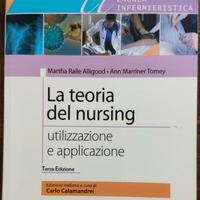 Infermieristica (Teoria del Nursing)