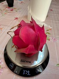 Piante frutto del drago