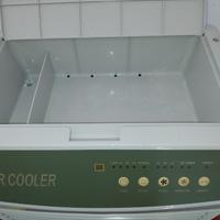 Pinguino Aria condizionata