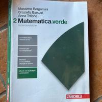 Libro matematica verde 2