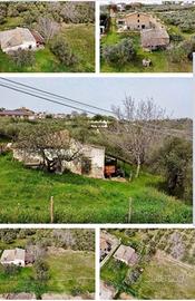 Terreno e rustico
