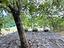 Immagine 27