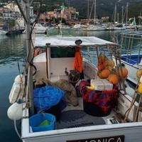 Barca con licenza di pesca