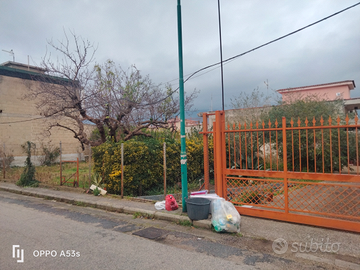 A Cimitile Terreno parcellizzato area edificabile