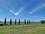 Immagine 9