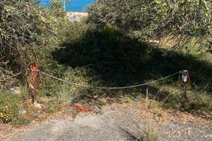 Terreno con piante d'ulivo