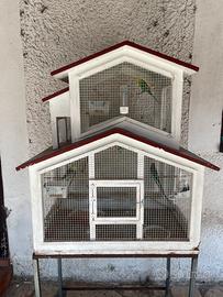 Voliera artigianale con 2 coppie uccellini