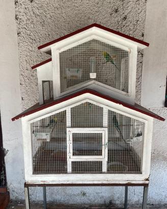 Voliera artigianale con 2 coppie uccellini