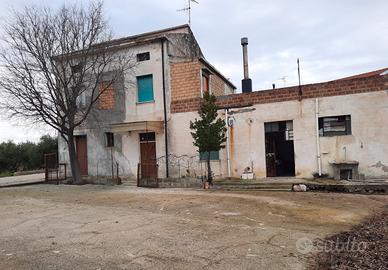 Casa Indipendente con Oliveto