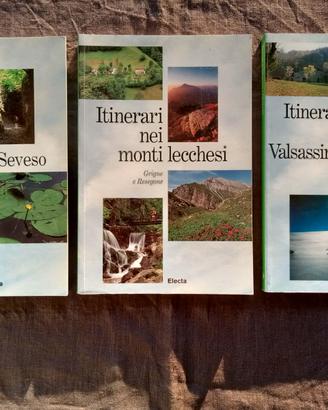 Lotto 2 libri Electa itinerari Lombardia