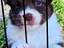 Immagine 5