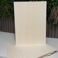 10 fogli di compensato di pioppo da 4 mm 30x40 cm