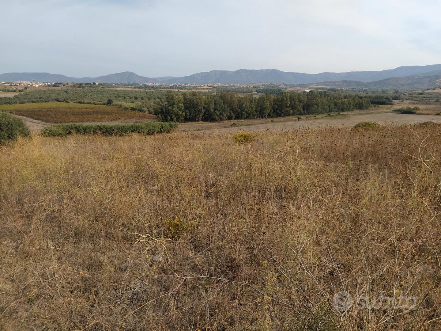 Soleminis terreno agroseminativo - Vista 5
