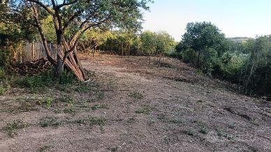Terreno agricolo