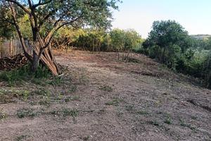 Terreno agricolo